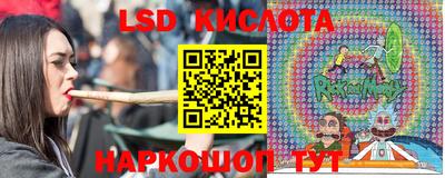 мдпв Гусев