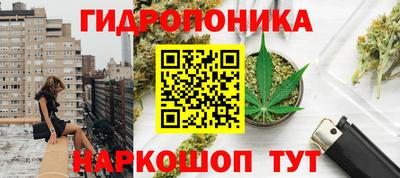 ПСИЛОЦИБИНОВЫЕ ГРИБЫ Гусиноозёрск