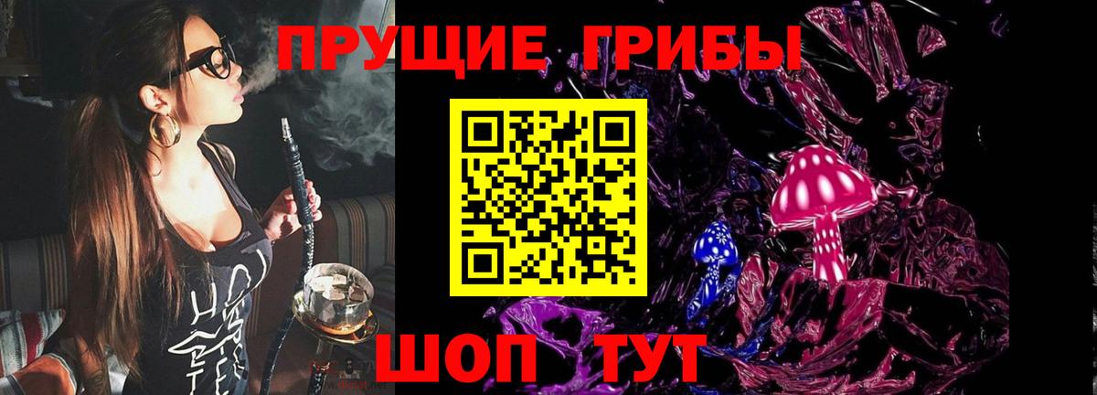 Галлюциногенные грибы Psilocybine cubensis  Вход с VPN  Малоярославец 